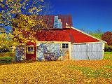 Autumn Barn_DSCF02700